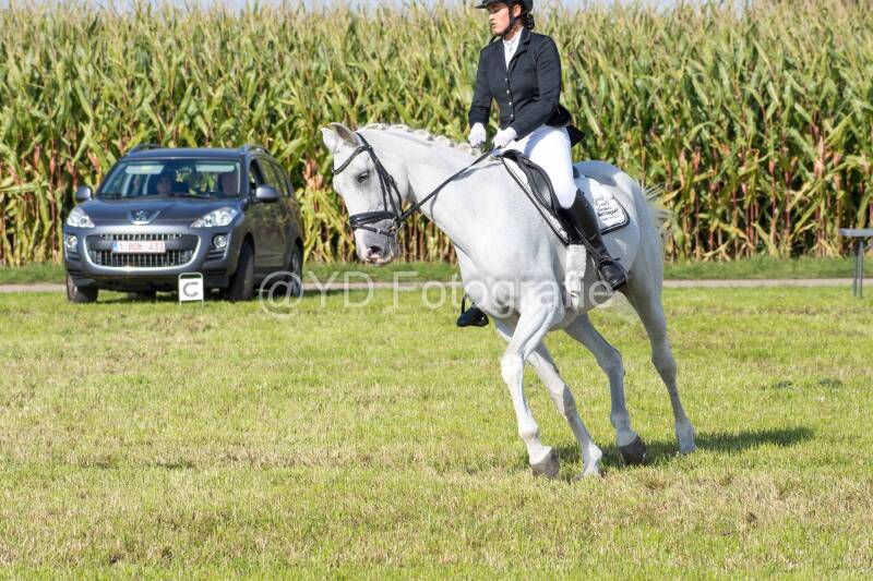 20241006-20241006-dsc_5413-standard-qzi2g7.jpg