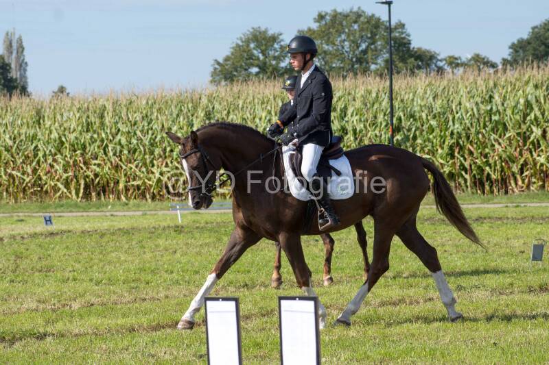 20241006-20241006-dsc_5418-standard-odhgf5.jpg