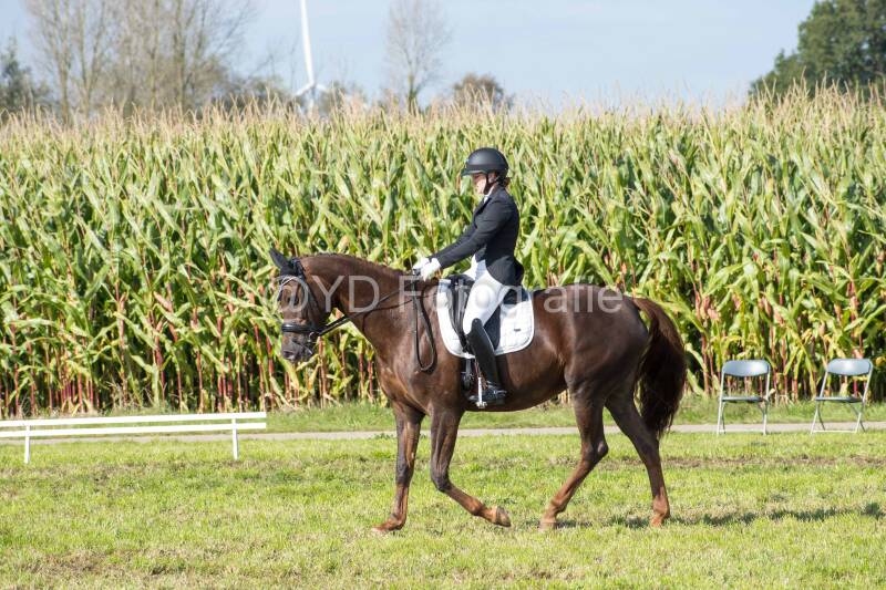 20241006-20241006-dsc_5419-standard-yely44.jpg