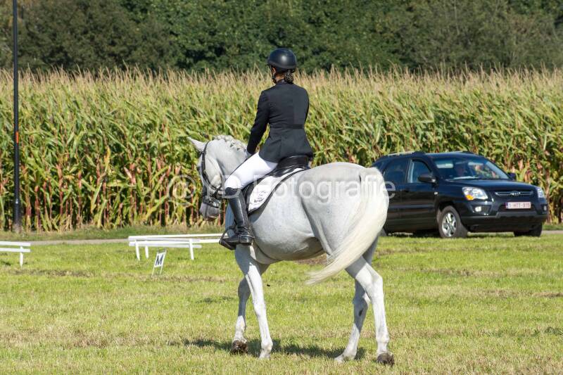 20241006-20241006-dsc_5429-standard-8rpxpp.jpg