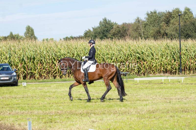 20241006-20241006-dsc_5438-standard-x0usgj.jpg