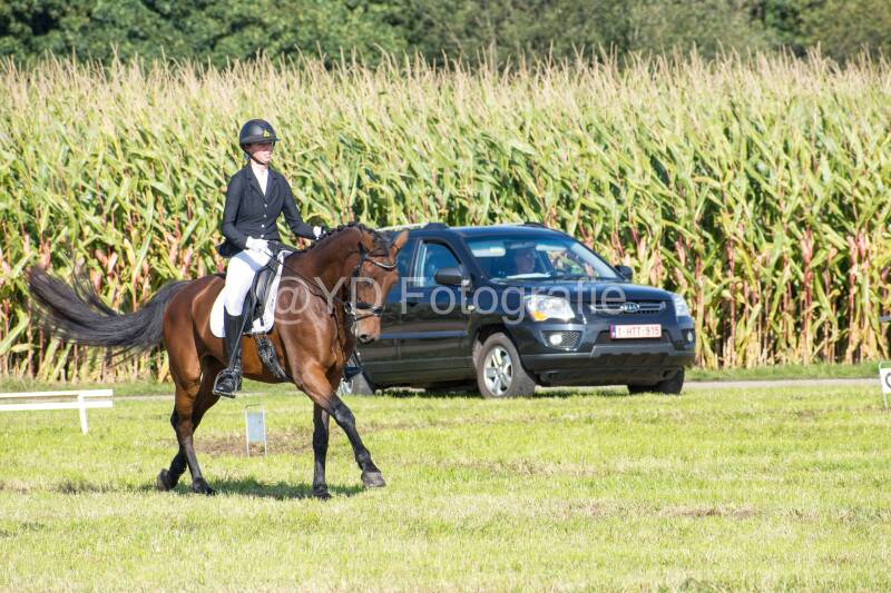 20241006-20241006-dsc_5439-standard-u6b6se.jpg