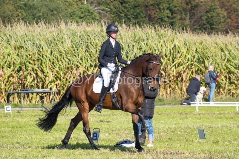 20241006-20241006-dsc_5441-standard-6stckh.jpg