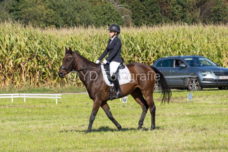 20241006-20241006-dsc_5462-standard-cw9n2f.jpg