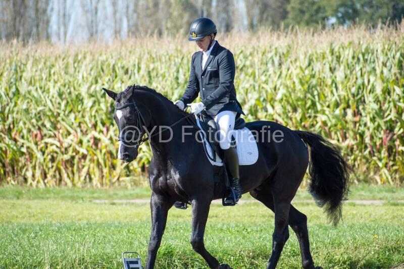 20241006-20241006-dsc_5467-standard-zwe9aa.jpg