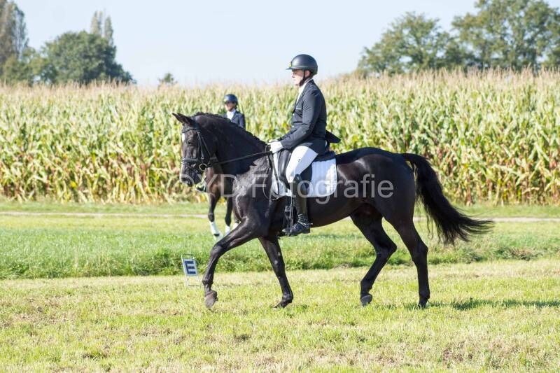 20241006-20241006-dsc_5475-standard-xc54yn.jpg