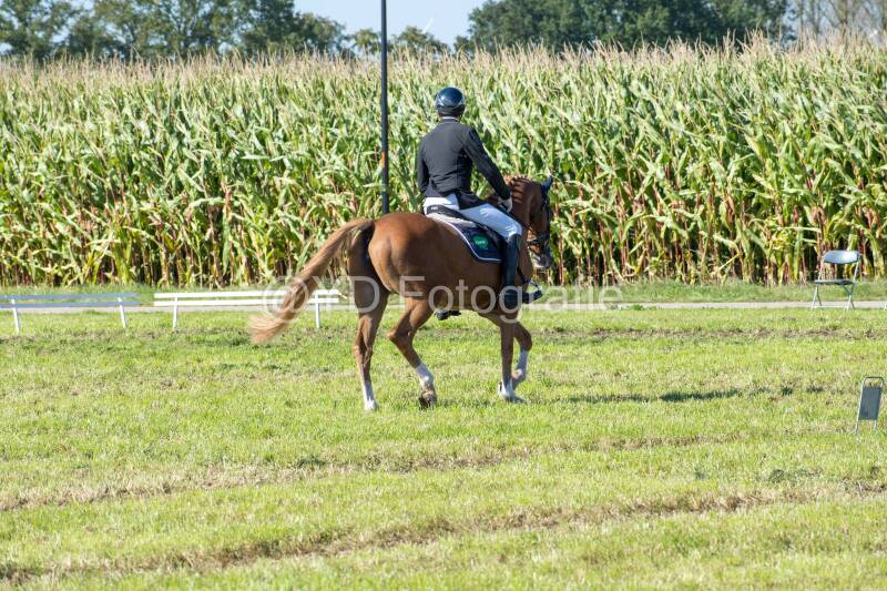 20241006-20241006-dsc_5490-standard-d8x7dm.jpg