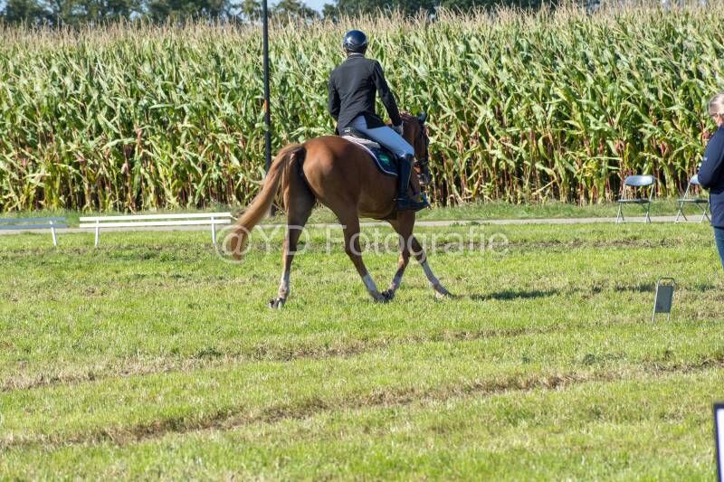 20241006-20241006-dsc_5491-standard-fzg6hc.jpg