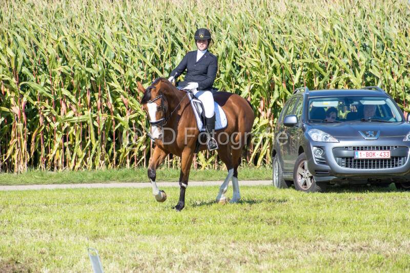 20241006-20241006-dsc_5494-standard-momen6.jpg