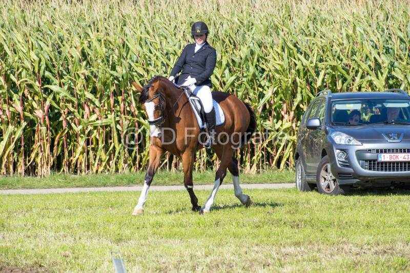 20241006-20241006-dsc_5495-standard-f7fsil.jpg