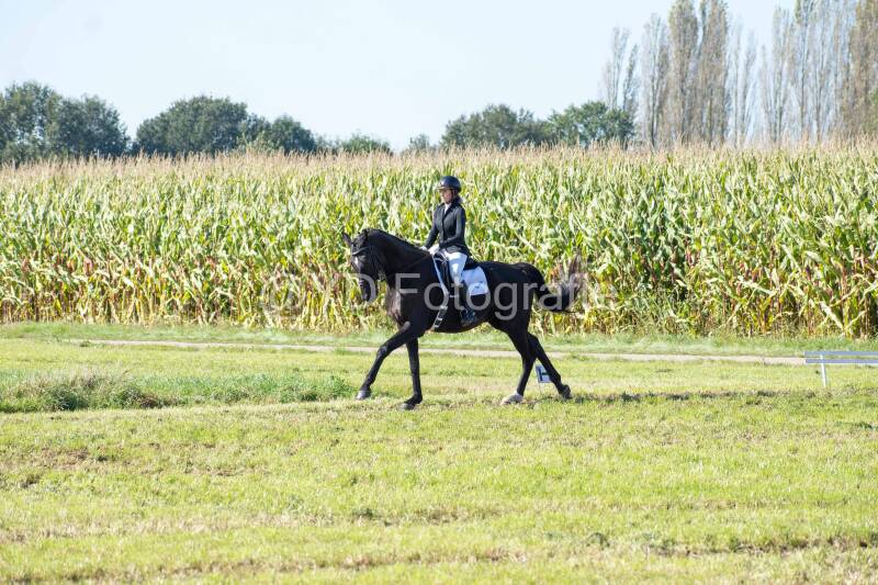 20241006-20241006-dsc_5533-standard-ijmkpx.jpg