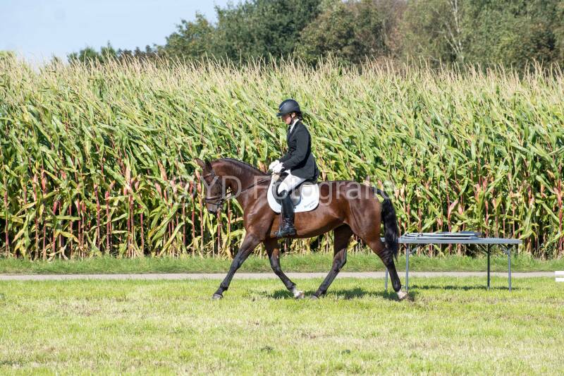 20241006-20241006-dsc_5540-standard-jwnwnt.jpg