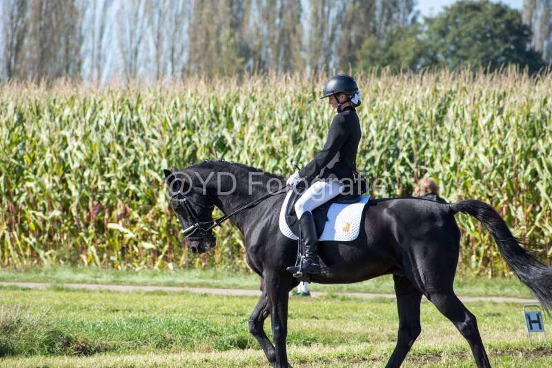 20241006-20241006-dsc_5546-standard-lh5ckk.jpg