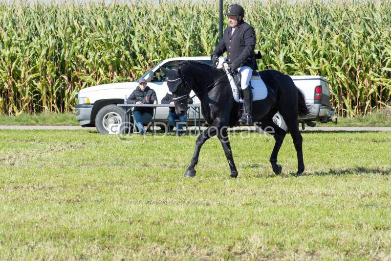 20241006-20241006-dsc_5558-standard-gvql70.jpg
