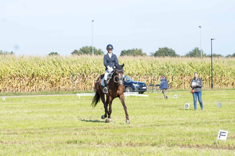 20241006-20241006-dsc_5568-standard-bmsxgm.jpg