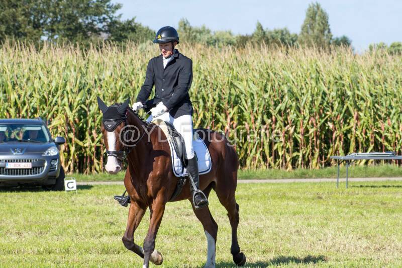20241006-20241006-dsc_5599-standard-c2megx.jpg