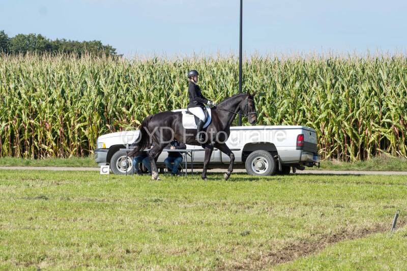 20241006-20241006-dsc_5601-standard-t96mll.jpg