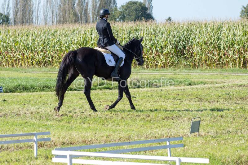 20241006-20241006-dsc_5610-standard-37knon.jpg