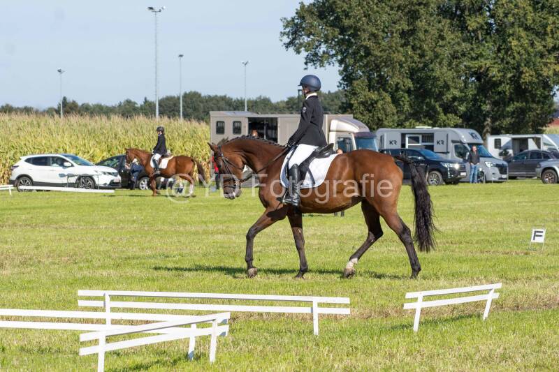 20241006-20241006-dsc_5616-standard-d87ai3.jpg