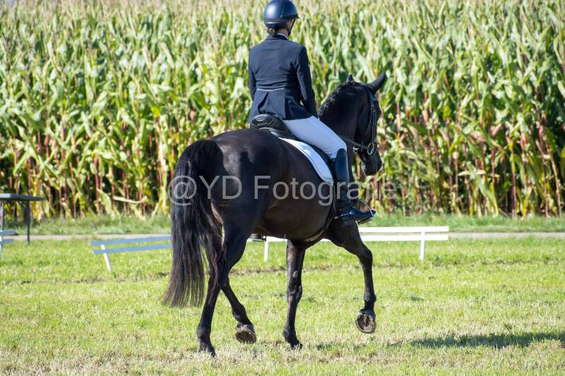 20241006-20241006-dsc_5625-standard-s4c29b.jpg