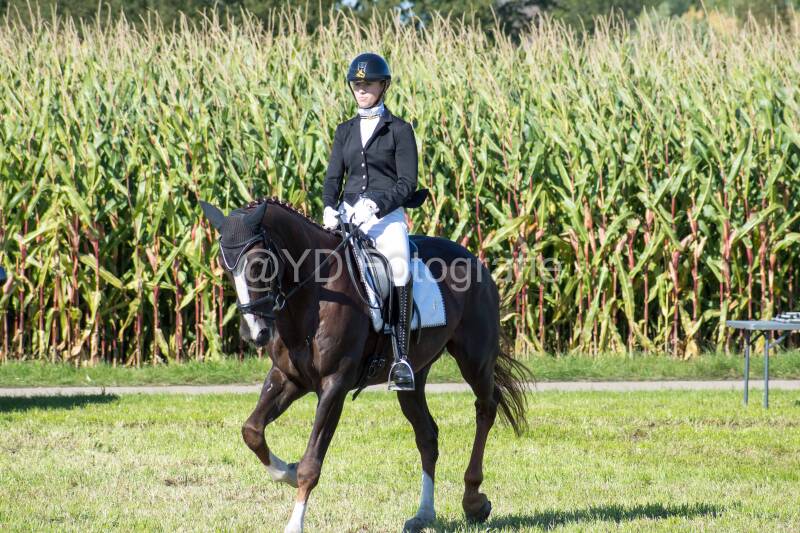 20241006-20241006-dsc_5628-standard-ry2zll.jpg