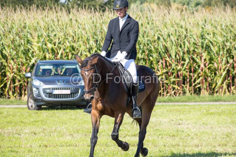 20241006-20241006-dsc_5657-standard-r0vr4w.jpg