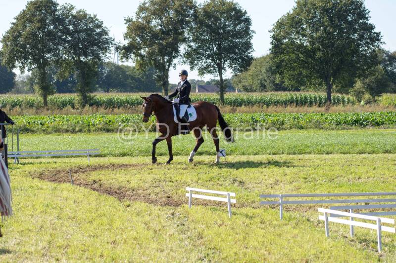 20241006-20241006-dsc_5659-standard-x5fao9.jpg