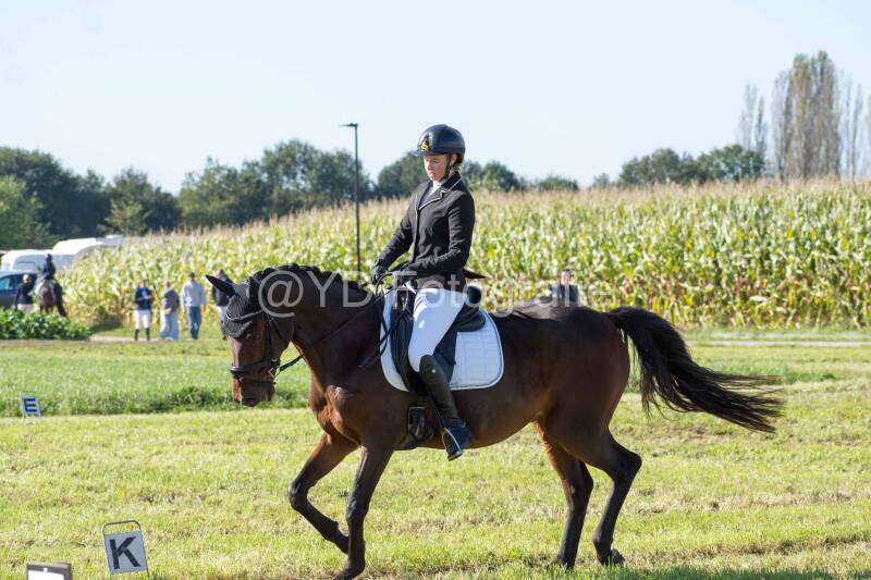 20241006-20241006-dsc_5663-standard-t7iffb.jpg