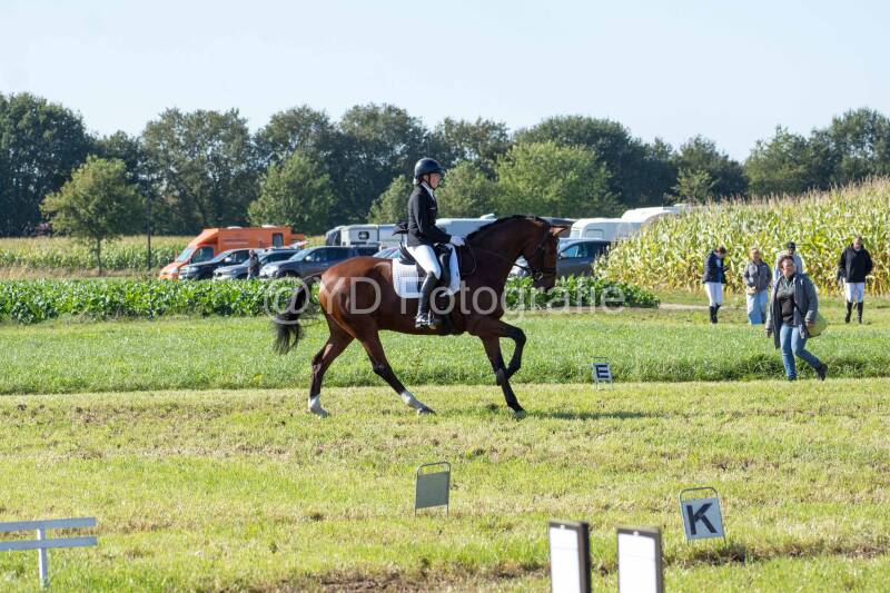 20241006-20241006-dsc_5674-standard-efxpfd.jpg