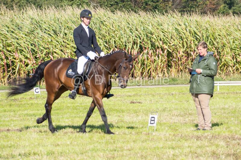20241006-20241006-dsc_5680-standard-nyymnj.jpg