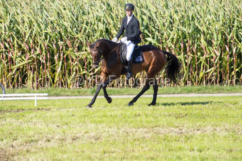 20241006-20241006-dsc_5683-standard-xwsy93.jpg