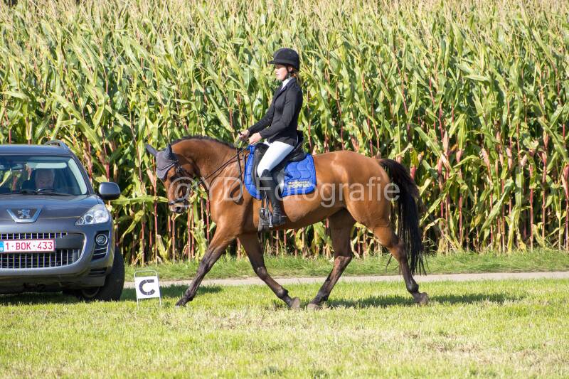 20241006-20241006-dsc_5776-standard-vxv1ik.jpg