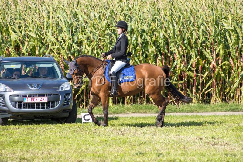 20241006-20241006-dsc_5777-standard-6qv6yl.jpg