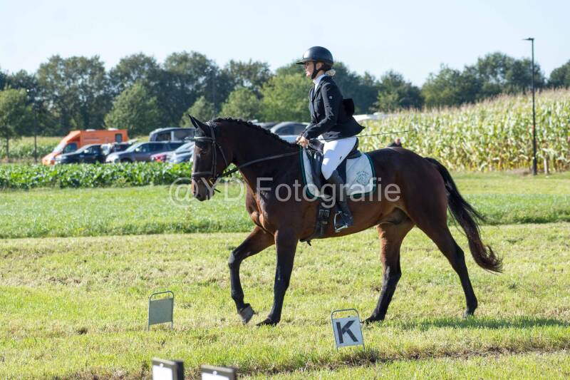 20241006-20241006-dsc_5794-standard-5m1krm.jpg