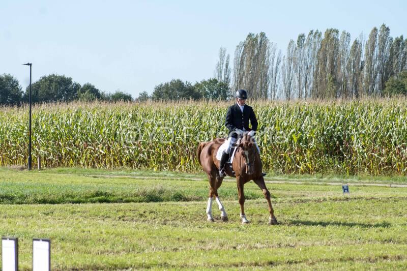 20241006-20241006-dsc_5806-standard-tun6xg.jpg