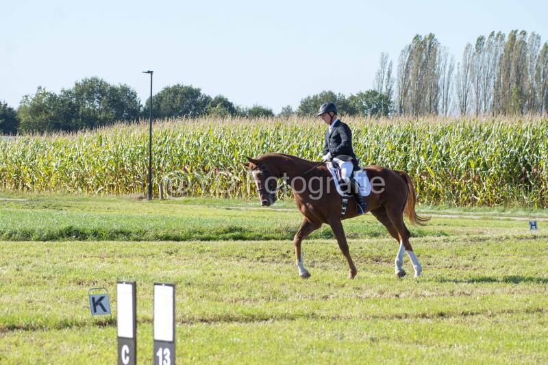 20241006-20241006-dsc_5808-standard-10rv4h.jpg