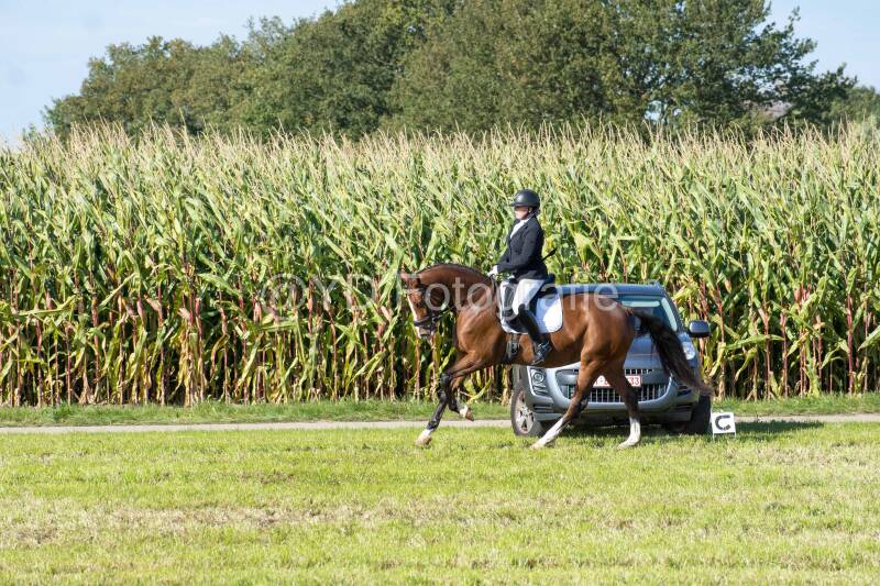 20241006-20241006-dsc_5819-standard-4wpilf.jpg