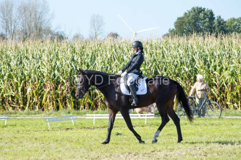 20241006-20241006-dsc_5828-standard-fk5yxl.jpg