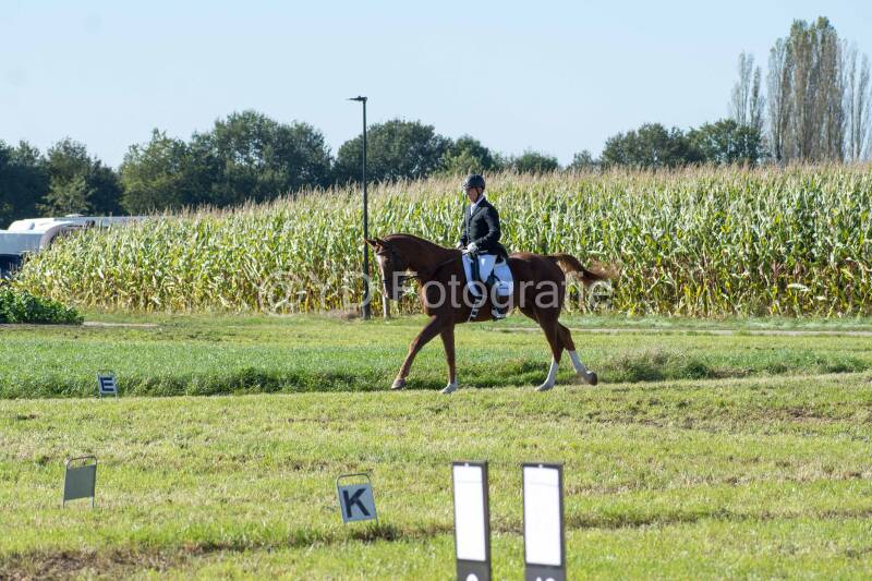 20241006-20241006-dsc_5830-standard-pvxran.jpg