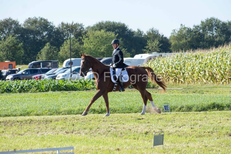 20241006-20241006-dsc_5832-standard-wzoiq7.jpg