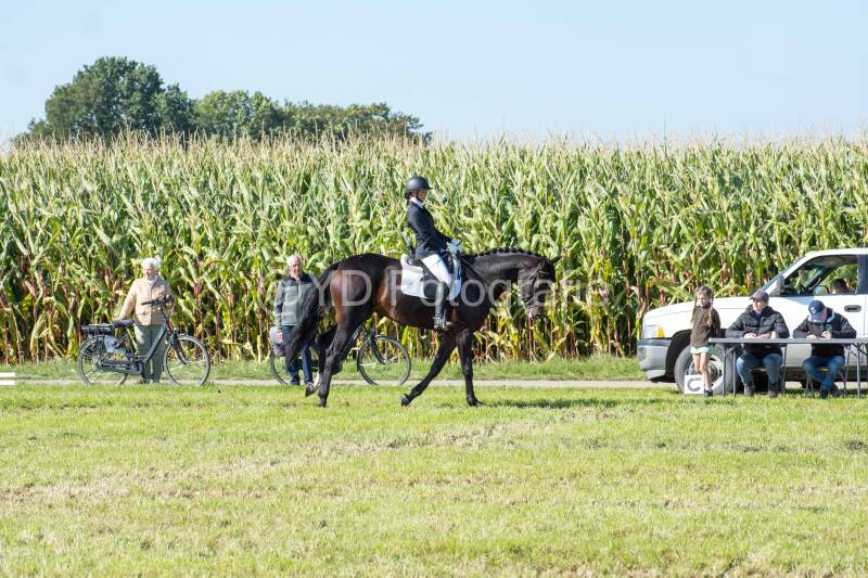20241006-20241006-dsc_5835-standard-qwxgvh.jpg