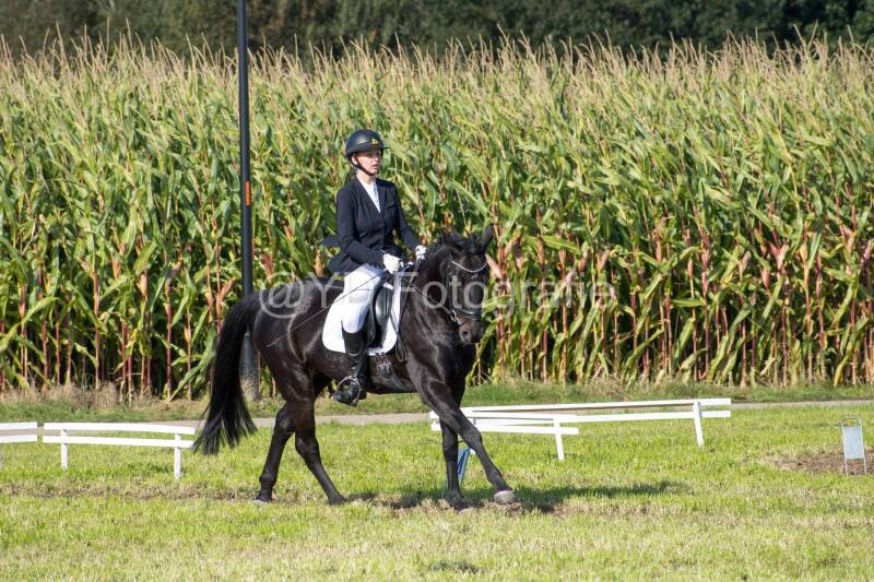 20241006-20241006-dsc_5858-standard-bxjsil.jpg