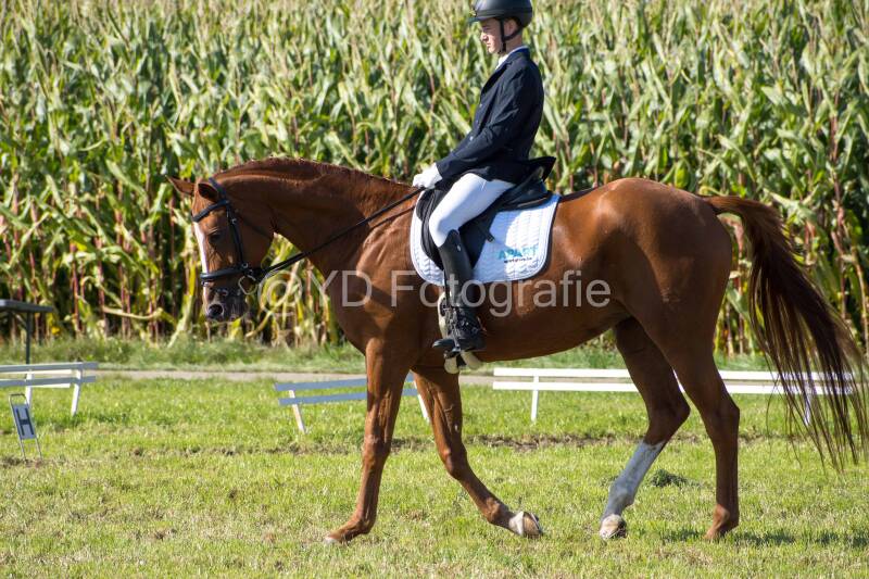 20241006-20241006-dsc_5864-standard-ayds1p.jpg