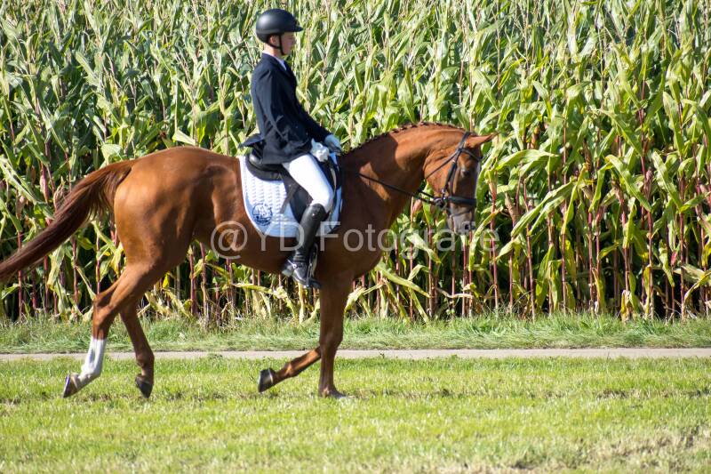 20241006-20241006-dsc_5866-standard-tnrvzr.jpg