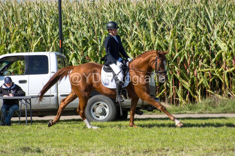 20241006-20241006-dsc_5868-standard-yz9yvx.jpg