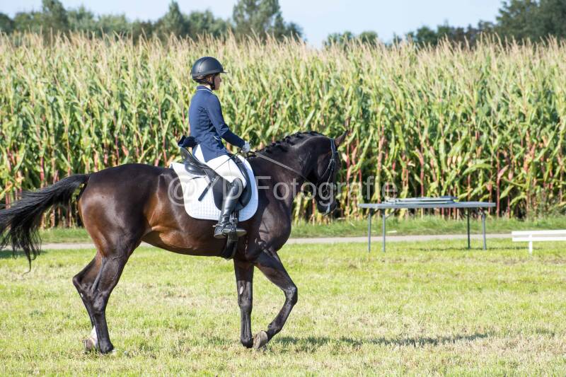 20241006-20241006-dsc_5889-standard-ckwn0z.jpg