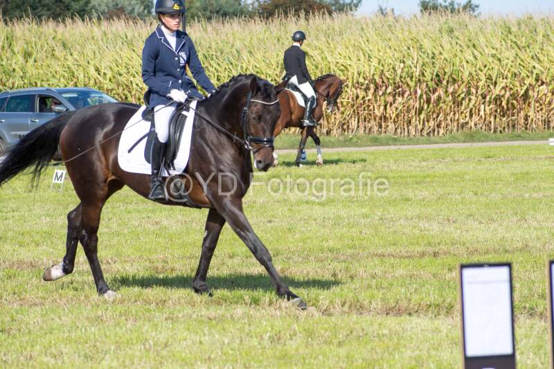 20241006-20241006-dsc_5901-standard-t5lzlk.jpg