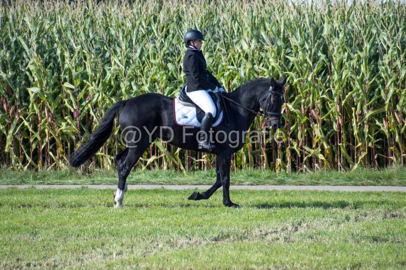 20241006-20241006-dsc_5905-standard-t355b2.jpg