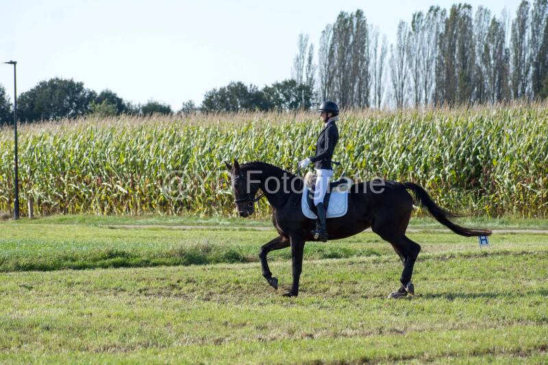 20241006-20241006-dsc_5915-standard.jpg