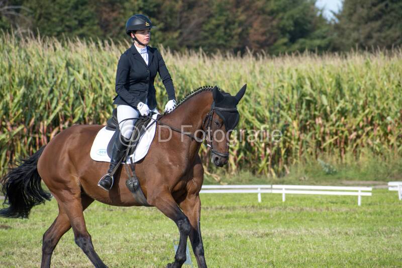 20241006-20241006-dsc_5973-standard.jpg